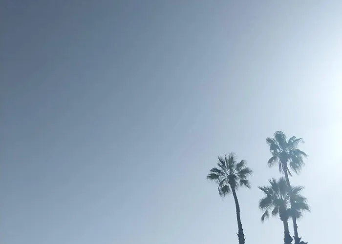 Modern With Pool Near - Apartment